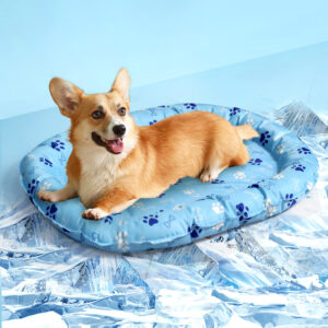 Pawz Pet Cooling Mat M Blue - Image 7