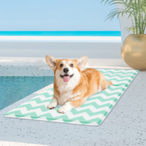 Pawz Pet Cooling Mat M Green - Image 7