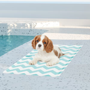 Pawz Pet Cooling Mat S Blue - Image 7