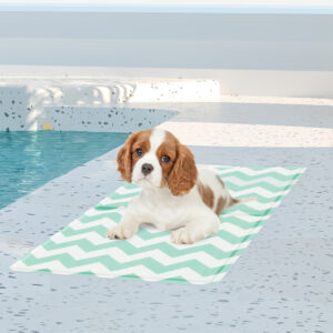 Pawz Pet Cooling Mat S Green - Image 7