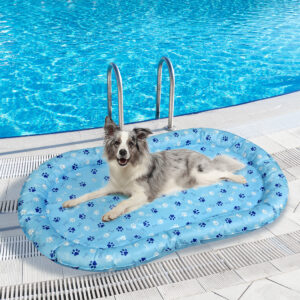 Pawz Pet Cooling Mat XL Blue - Image 7