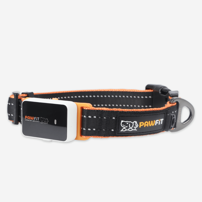 P3s-Pawfit-collar33333